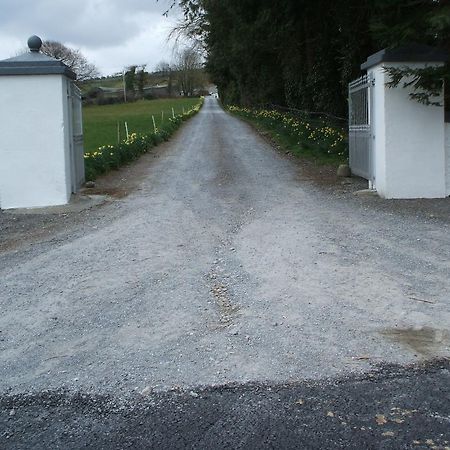 Grove Farm House Inistioge Ngoại thất bức ảnh